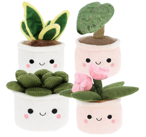 plant fam-Photoroom